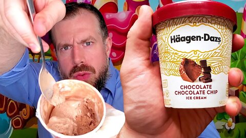 Häagen-Dazs Chocolate Chocolate Chip Ice Cream