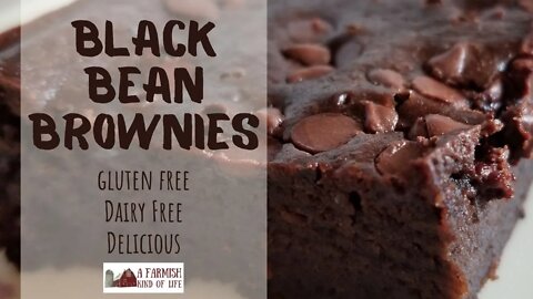 Black Bean Brownies | A Farmish Kind of Life