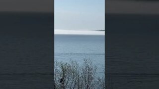 Madeline Island fog bank.￼