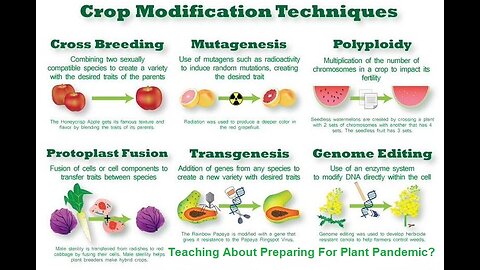 An Introduction To Plant Breeding-Teaching Us about Preparing for a Plant Pandemic?