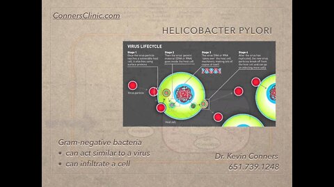 Mechanisms of Cancer - H. Pylori Dr. Kevin Conners