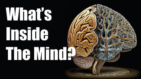 Human Brains Explained - How the mind works?