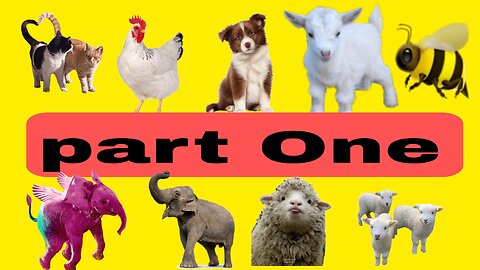 All types of animals are in this video (cat Dog elephant sheep monkey Hen etc)