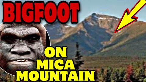 BIGFOOT on Mica Mountain!