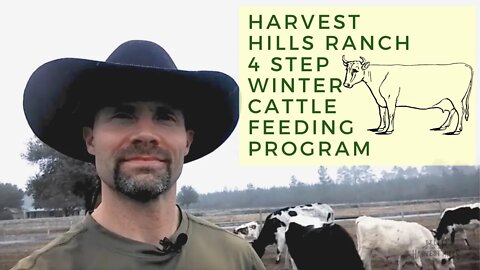 Harvest Hills Ranch 4 Step Winter Cattle Feeding Program