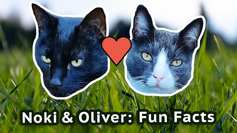 Noki And Oliver Fun Facts