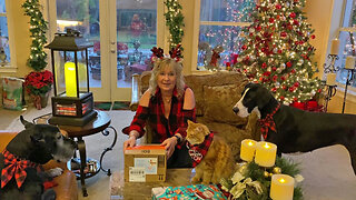 Pets have fun opening their Christmas gifts