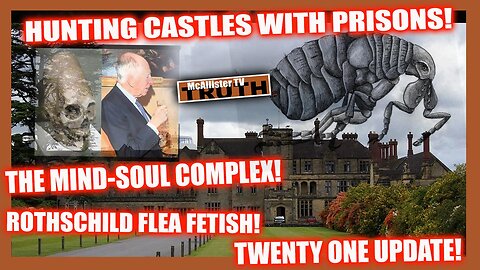 FLASH! THE MIND_SOUL COMPLEX! ROTHSCHILD'S FLEAS! CASTLES WITH PRISONS! SOUL LOOP!