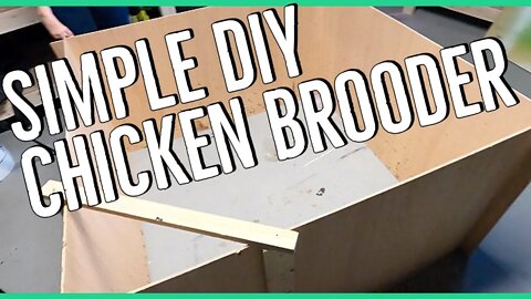 Easiest DIY Chick Brooder ||Simple Chicken Brooder||