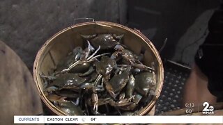 Male crab catch limits begin July 1