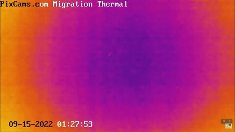 Fall Migration 2022 Thermal Camera - 9/15/2022 @ 1:28 AM - Small flock at high altitude