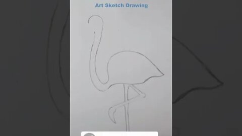 Easy Flamingo Pencil Drawing Shorts-2 #drawingshorts #shortdrawingvideo #shorts
