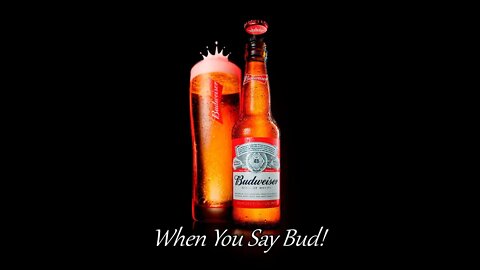 TV Commercial Songs - When You Say Bud!