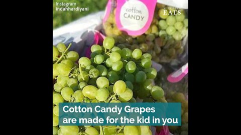 Cotton Candy Grapes Are the Hybrid Variety for the Kid in You