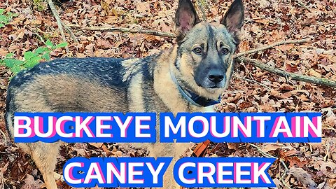 Buckeye Mountain-Caney Creek