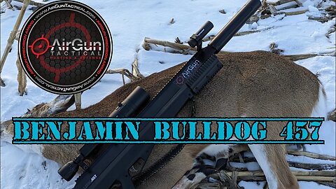 BENJAMIN BULLDOG 457 (DEER HUNT)