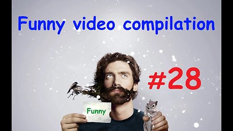 Funny video compilation #28