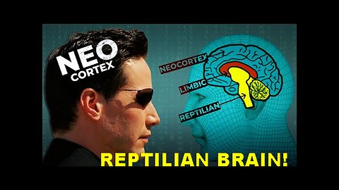 People are Trapped into the Reptilian Brain -> The Real Matrix! [05.10.2023]