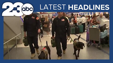 Bakersfield K-9s Deployed to Maui to Aid in Search + Donate Blood | LATEST HEADLINES