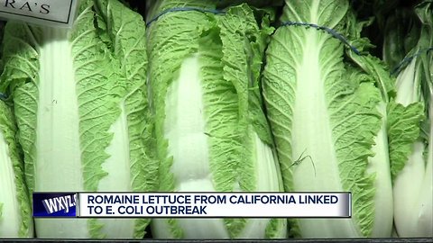 Romaine lettuce from California linked to E. coli outbreak