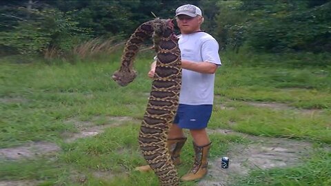 World s Largest Rattlesnake Found in Florida!