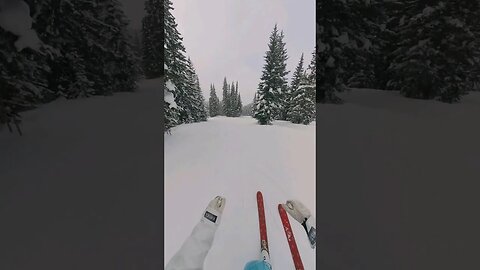 My favorite ski trail of all time! #skiing #shorts #insta360 #ski