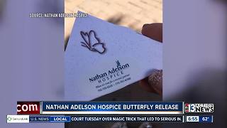 Nathan Adelson Hospice to Hold 15th Annual ‘John Anderson - Celebration of Life - Live Butterfly Release’