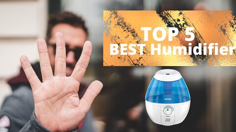 Top 5 Best Humidifier 2022