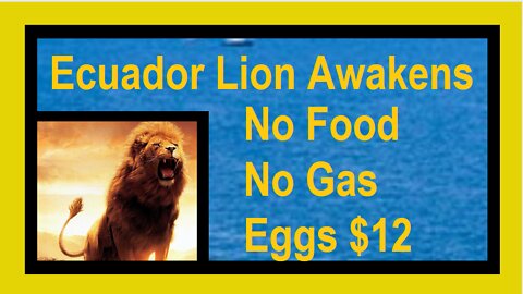 ECUADOR COLLAPSE: Hyperinflation and Real Food Shortages, Ecuador Wakes Up!