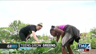414ward: Teens Grow Greens Offers Hands-on Gardening Experience