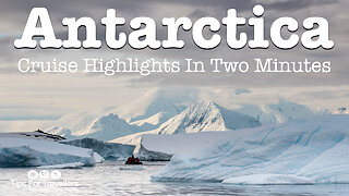 Antarctica cruise highlights: Penguins, whales, seals, glaciers & more!
