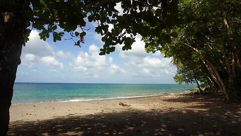 3Hrs of the Calming Sounds Of The Caribbean Sea Waves On A Beautiful Sunny Day - Nature ASMR