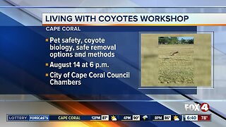 Cape Coral hosting Living With Coyotes workshop Wednesday