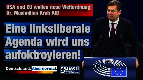 USA und EU wollen neue Weltordnung Dr. Maximilian Krah AfD