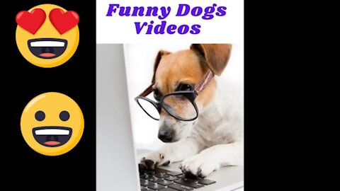 Cute Puppies#Cute Dogs Doing Funny Things Compilation 2020#Cutest Dogs Eve