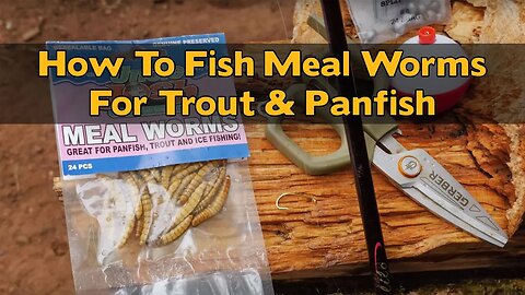 How To Rig & Fish MEALWORMS For Trout & Panfish