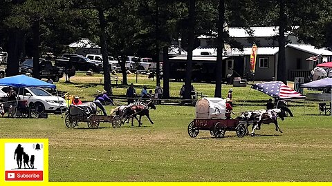 Opening Ceremony & Landrush Wagon Races - What About Bob Chuckwagon Races 2022 | Sunday