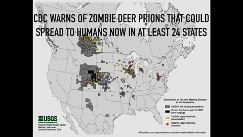 CDC Warns of Zombie Deer Prions in 24 States, Could Spread to Humans, Eats Holes in Brains
