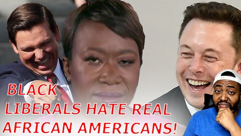 Joy Reid And Salty Black Liberals Meltdown Over Ron DeSantis Calling Elon Musk An African American!