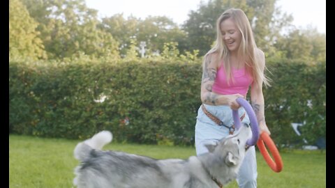 A Woman Playing with a Dog good