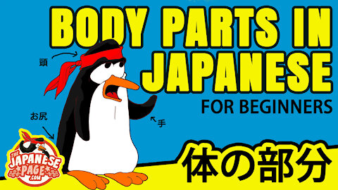 Body Parts in Japanese - Language Lesson for Beginners