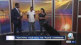 Teaching your dog the 'place' command