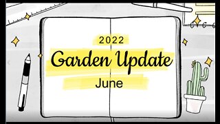 Garden Update June