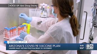 Arizona's COVID-19 vaccine plan