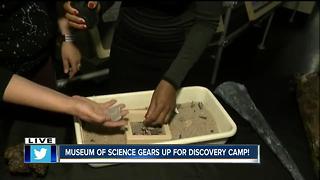 Museum of Science rolls out Discovery Camps for kids