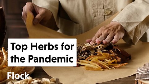MEDICINAL HERBS for COVID-19 (What CHINA & INDIA Recommend During the PANDEMIC) — Ep. 143