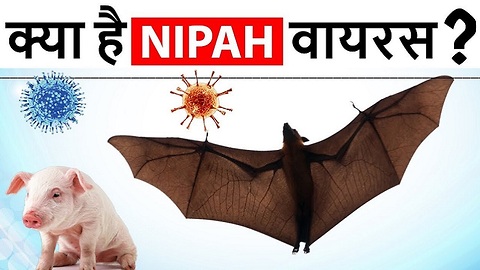Nipah virus causes, symptoms & treatment (Hindi Version)