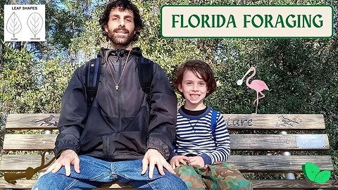 Naturevore: FLORIDA FORAGING Walk #19 (Jan. 18): Pine Galls, Birds, Leaf Shapes, Southern River Sage