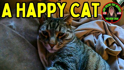 08-06-23 | A Happy Cat | The Lads Camp Vlog-001