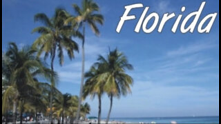 10 Reasons Why To Move To Florida In 2022